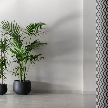 Paralos Rodos Lifestyle קולימביה