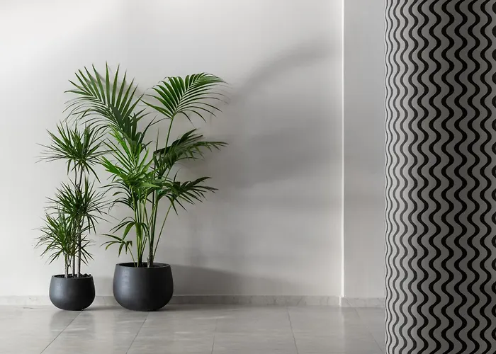 Paralos Rodos Lifestyle Kolymbia